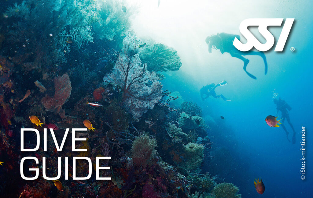 Dive Guide