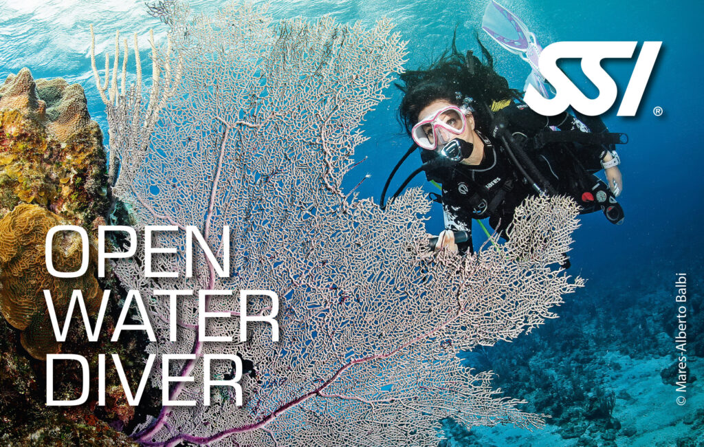 OWD
Open Water Diver