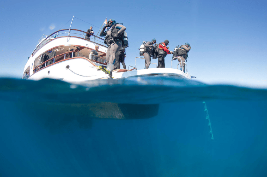 SSI Professional Diving Courses in Croatia with diving RABAC, showing scuba divers underwater beside a dive boat.